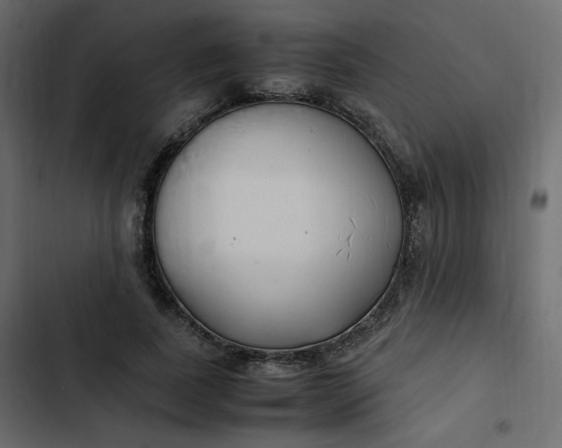 X0000102840739200809021336