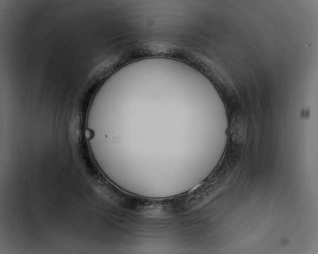 X0000102840740200809021336