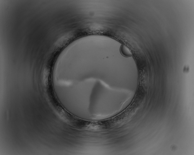 X0000102840742200809021336