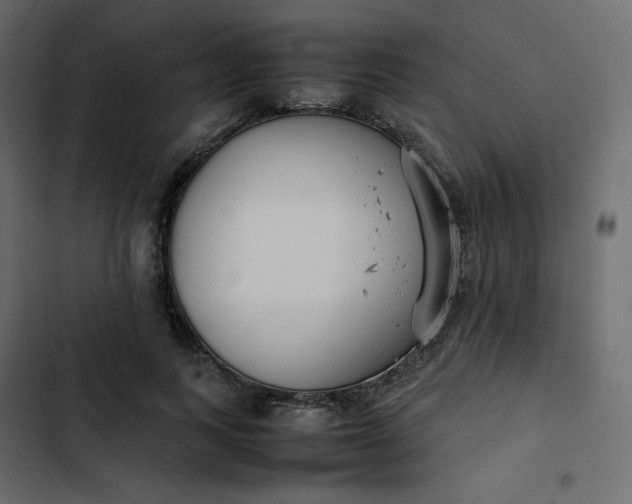 X0000102840743200809021336