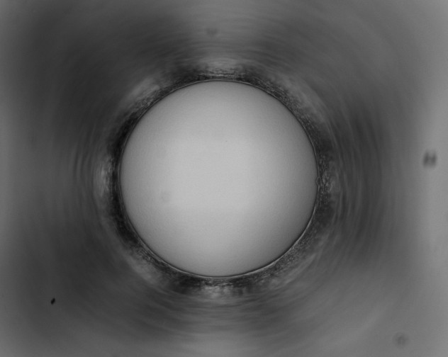 X0000102840744200809021336