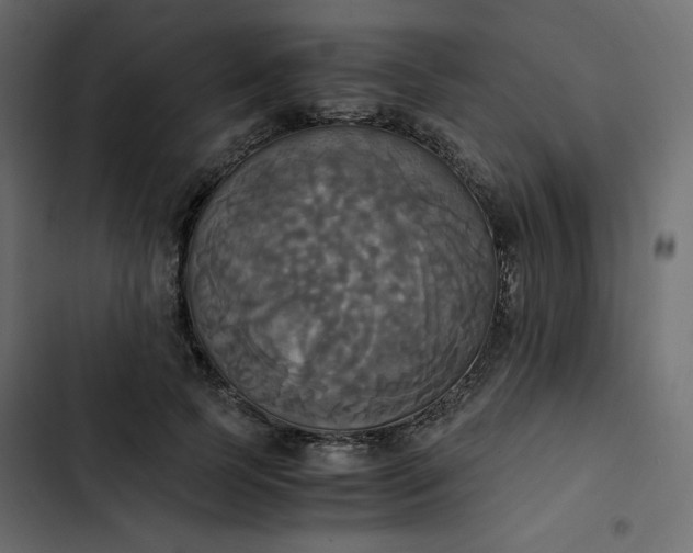 X0000102840745200809021336