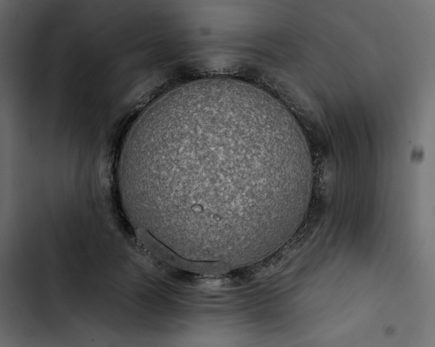 X0000102840746200809021336