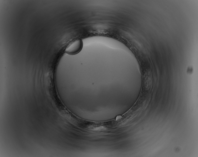 X0000102840747200809021336