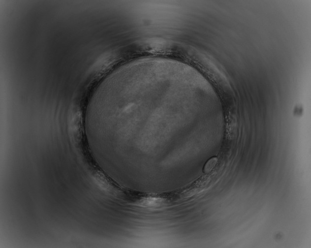 X0000102840748200809021336