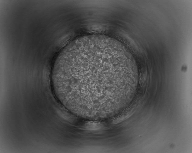 X0000102840749200809021336