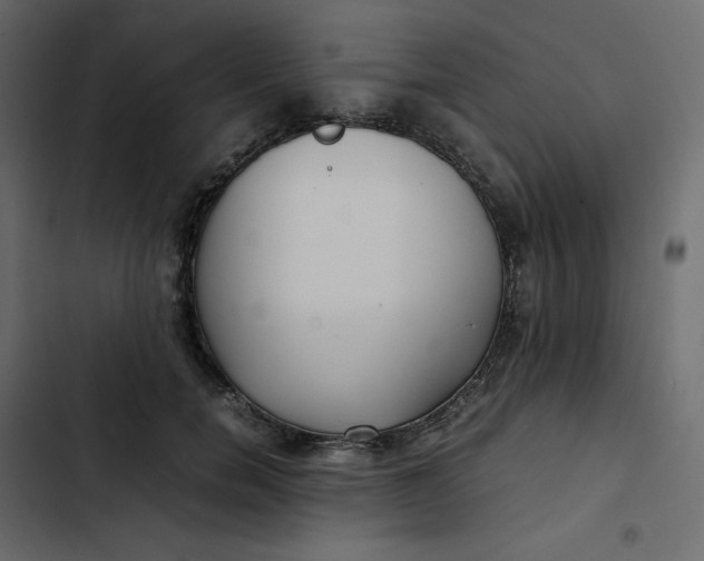 X0000102840750200809021336