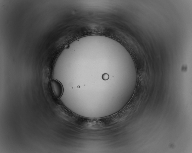 X0000102840752200809021336