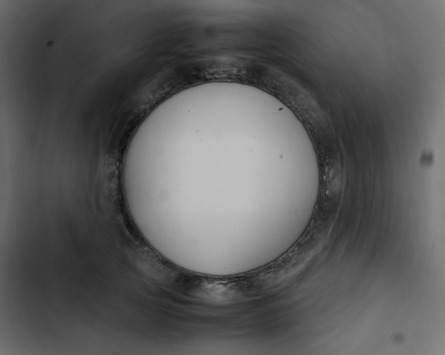 X0000102840753200809021336