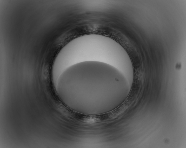 X0000102840754200809021336