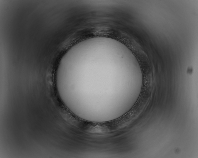 X0000102840755200809021336