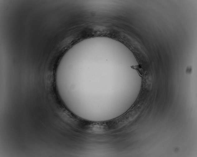 X0000102840756200809021336