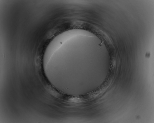 X0000102840759200809021336