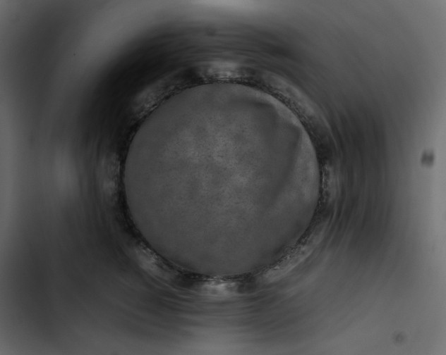 X0000102840760200809021336