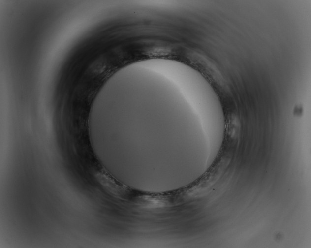 X0000102840763200809021336