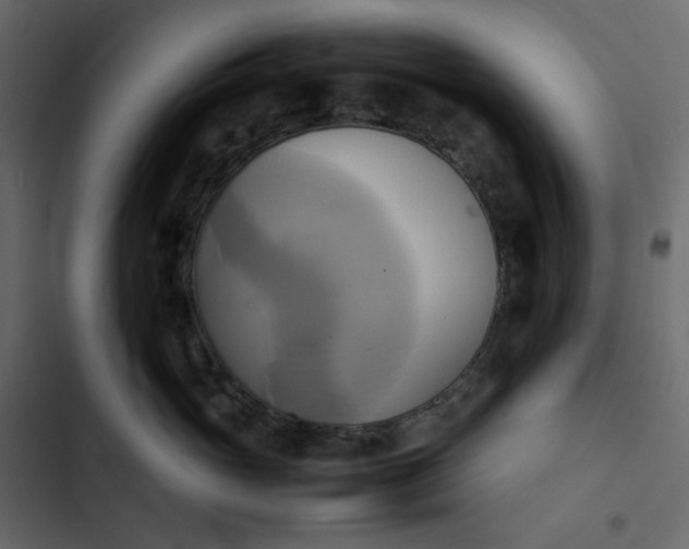 X0000102840765200809021336