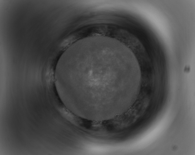 X0000102840766200809021336