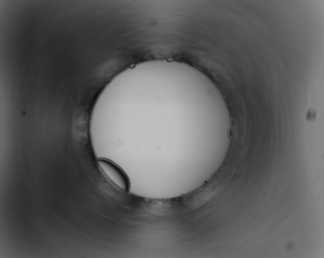 X0000102840768200809021336