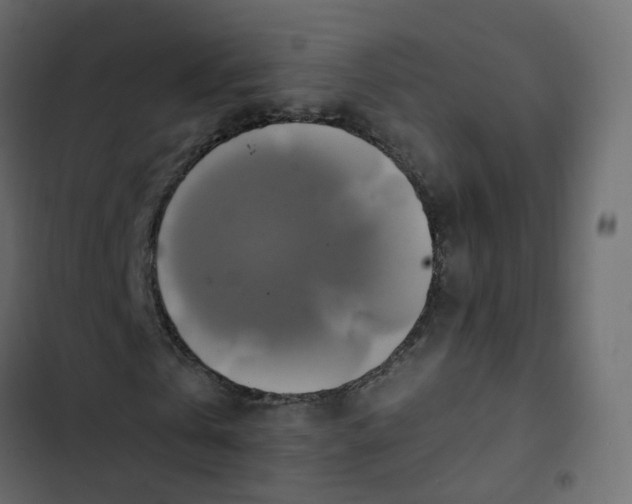 X0000102840769200809021336