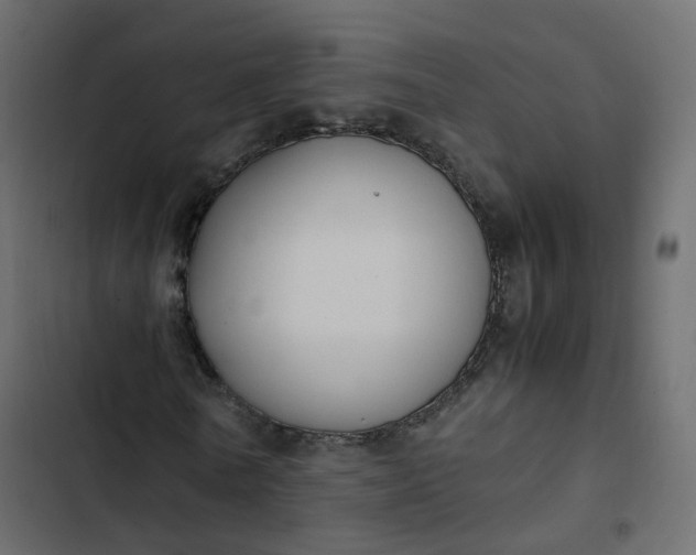 X0000102840770200809021336