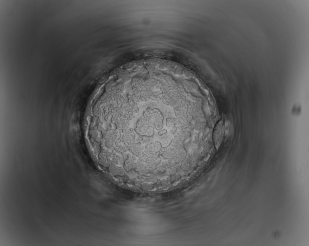 X0000102840771200809021335