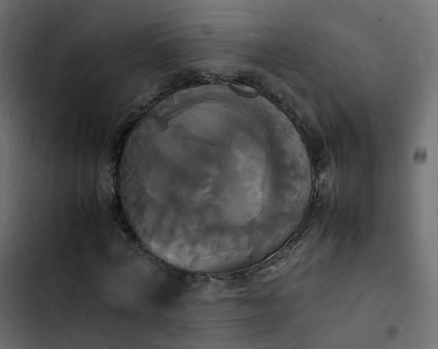 X0000102840772200809021335