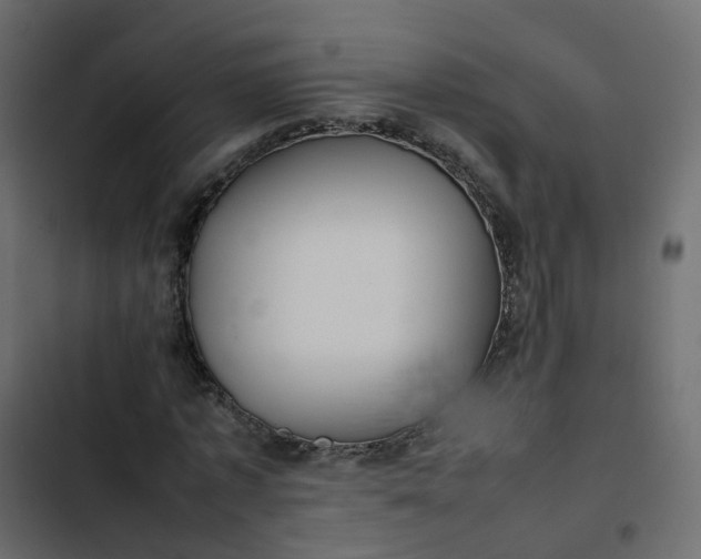 X0000102840773200809021335