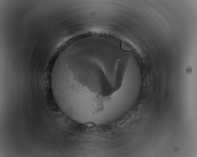 X0000102840776200809021335