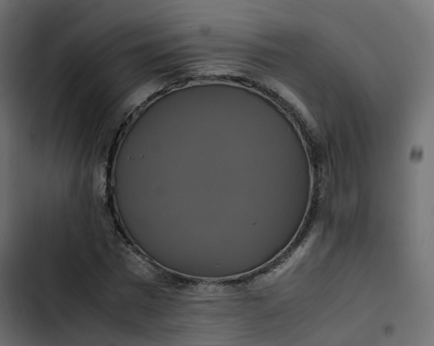 X0000102840777200809021335