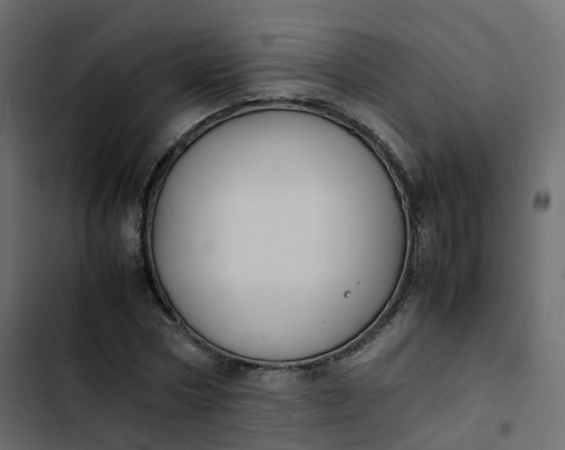 X0000102840778200809021335