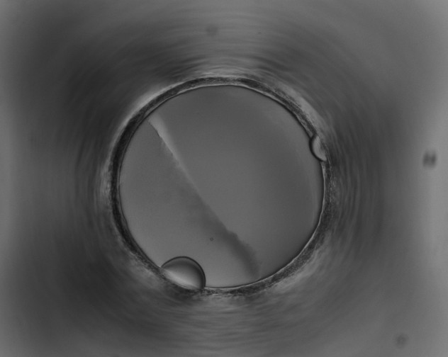 X0000102840779200809021335