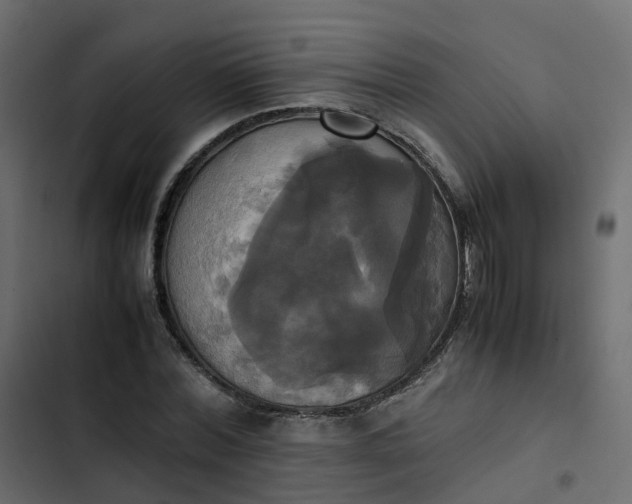 X0000102840780200809021335