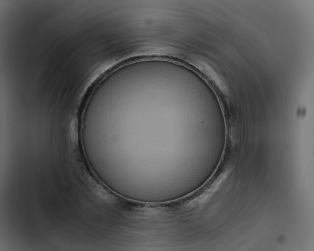 X0000102840781200809021335