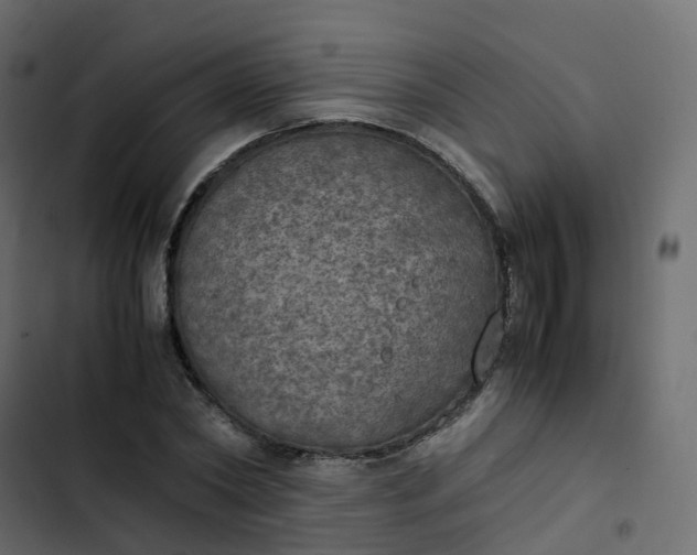 X0000102840782200809021335