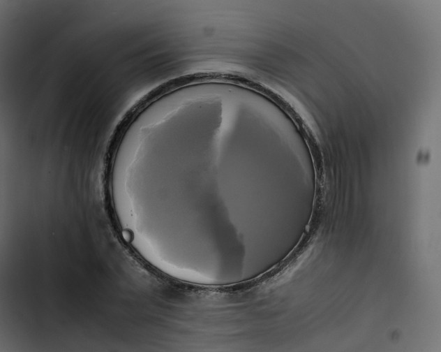 X0000102840783200809021335