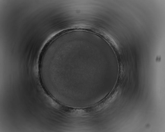 X0000102840784200809021335