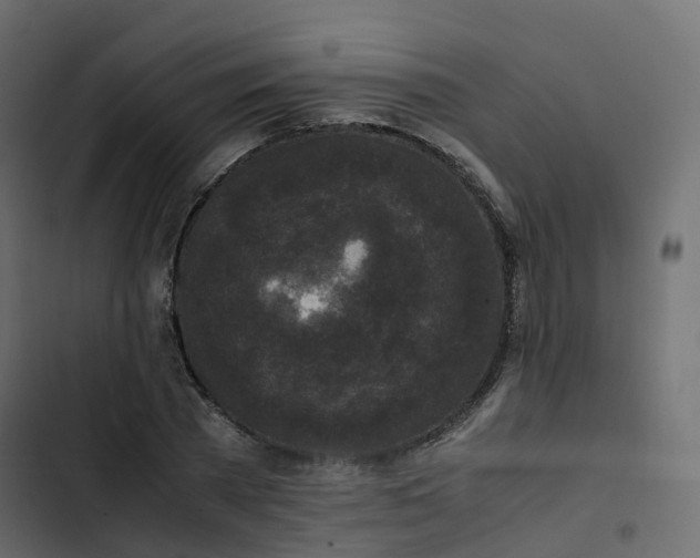 X0000102840785200809021335