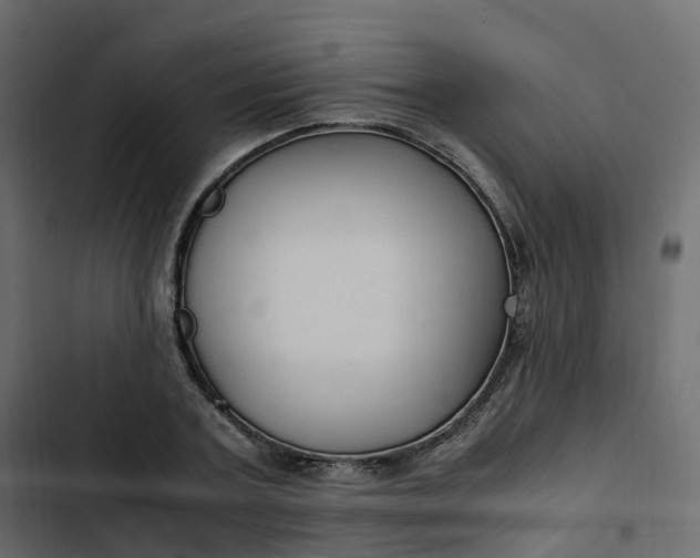 X0000102840787200809021335