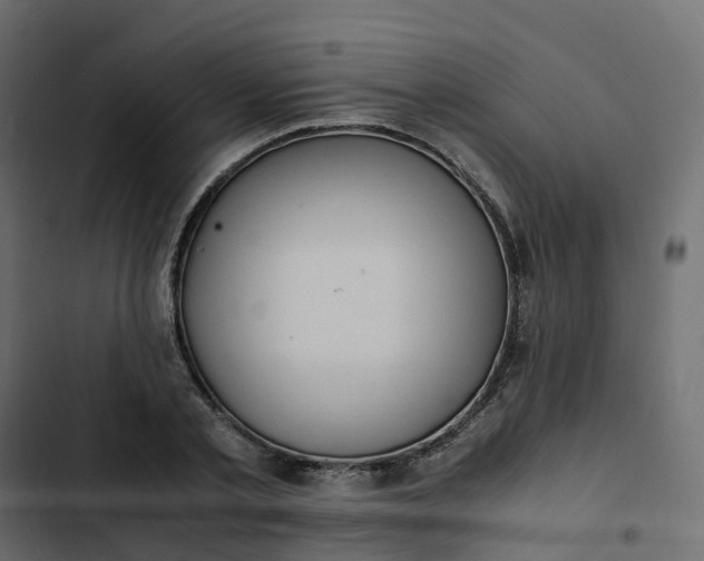 X0000102840789200809021335