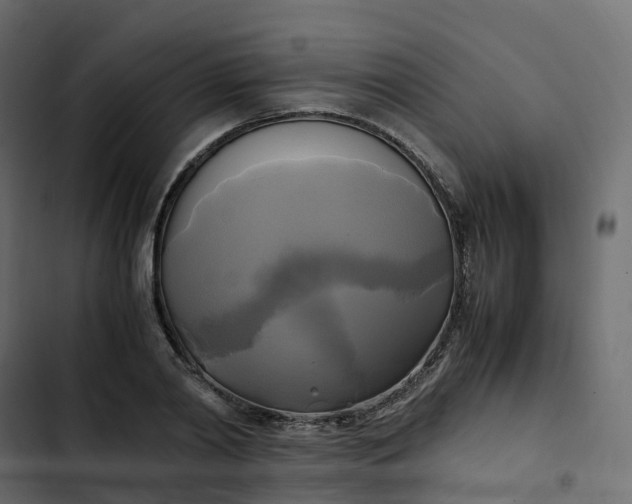 X0000102840790200809021335