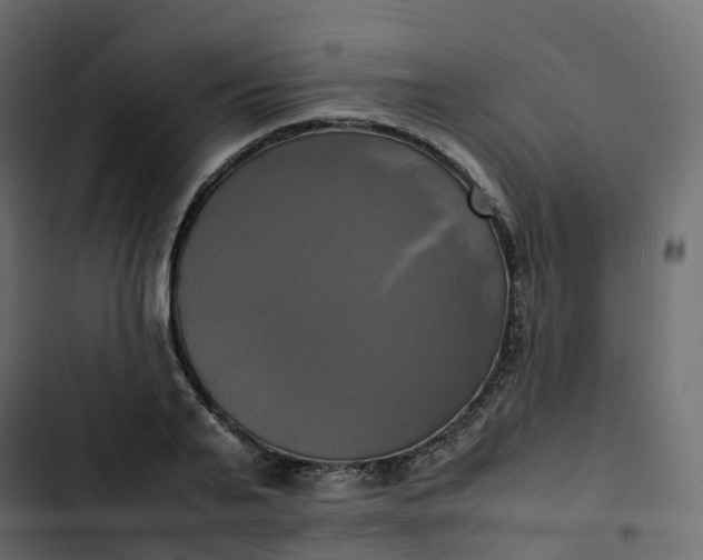 X0000102840791200809021335