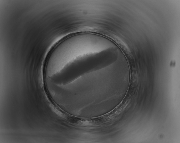 X0000102840792200809021335