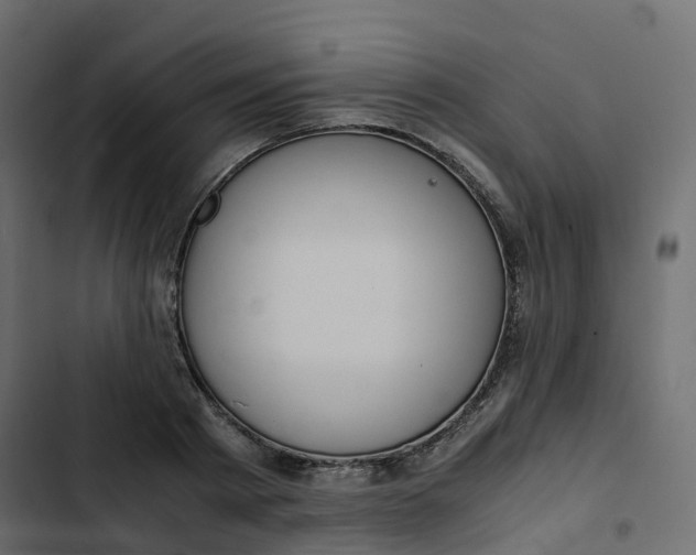 X0000102840793200809021335