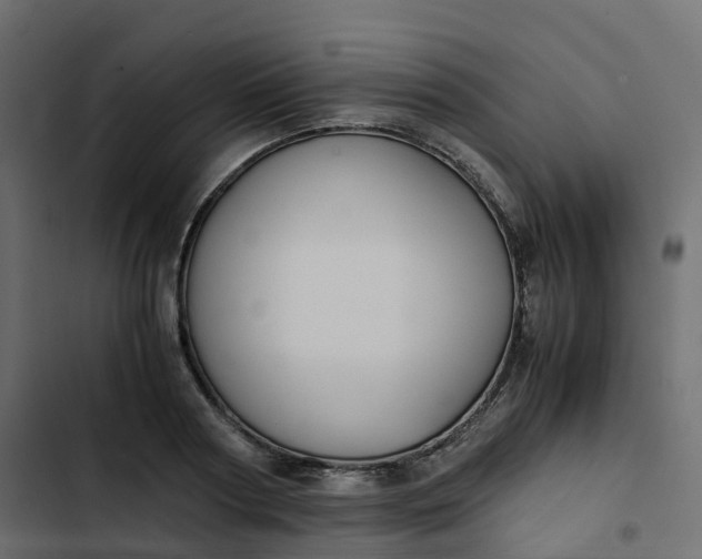 X0000102840794200809021335