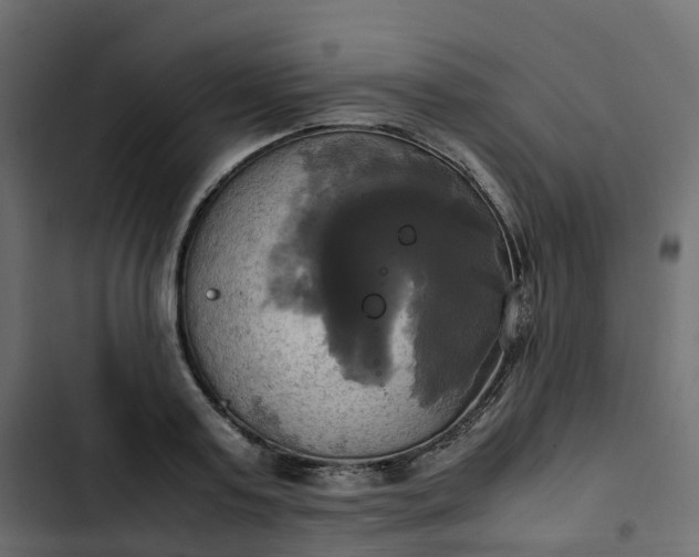 X0000102840795200809021335