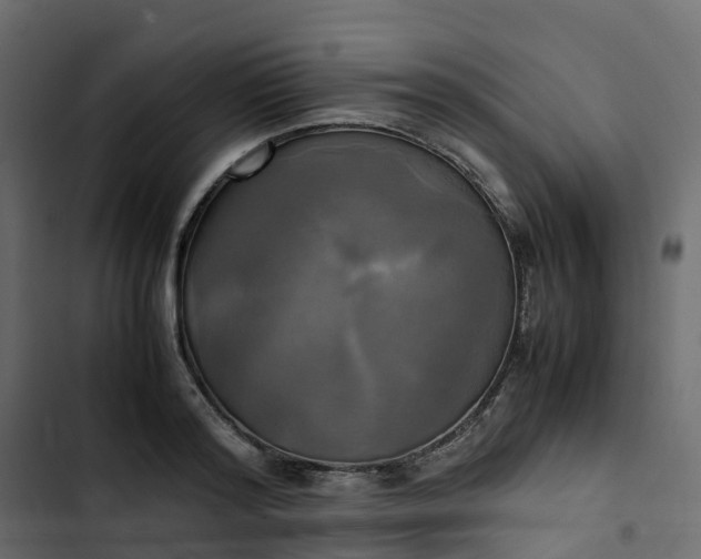 X0000102840796200809021335