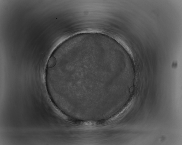 X0000102840797200809021335