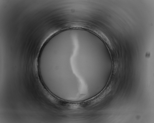 X0000102840798200809021335