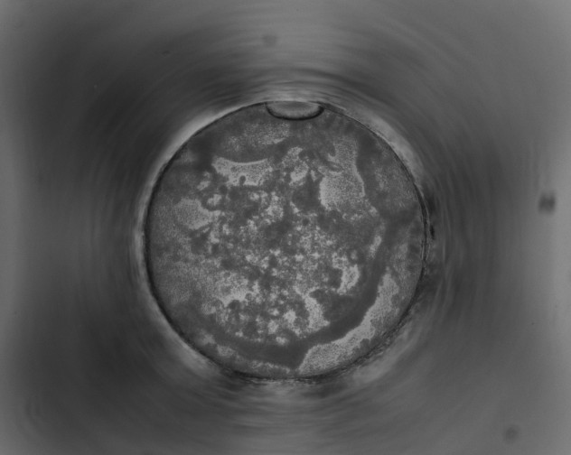 X0000102840803200809021335