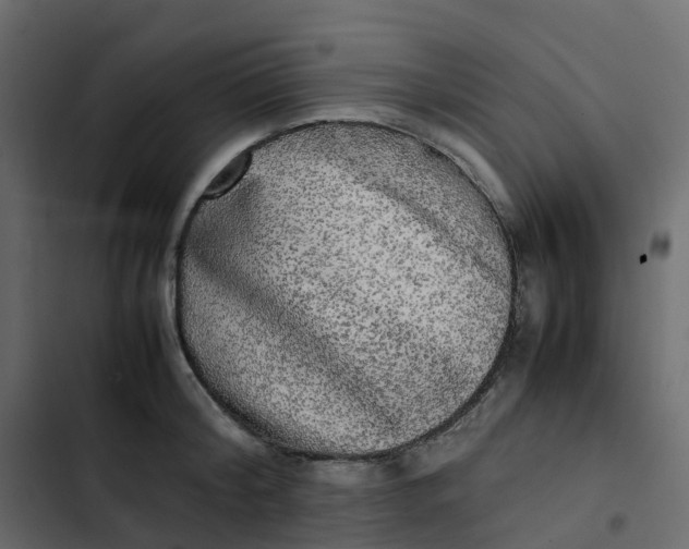 X0000102840804200809021335